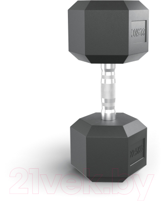 Гантель UNIX Fit DBHEX25