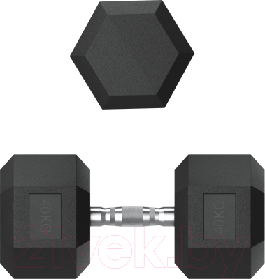 Гантель UNIX Fit DBHEX40 (40кг)