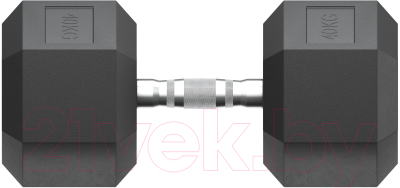 Гантель UNIX Fit DBHEX40 (40кг)