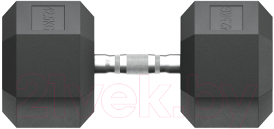 Гантель UNIX Fit DBHEX42.5 (42.5кг)