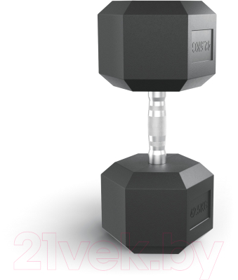 Гантель UNIX Fit DBHEX42.5 (42.5кг)