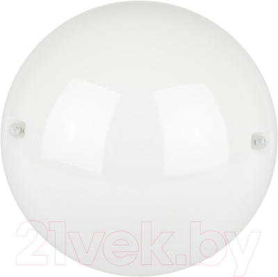 Светильник ЖКХ ЭРА ДБП 06-12-012 / Б0062649 - фото