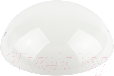 Светильник ЖКХ ЭРА ДБП 06-12-012 / Б0062649