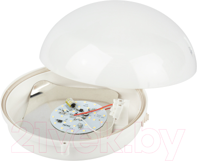 Светильник ЖКХ ЭРА ДБП 06-12-012 / Б0062649