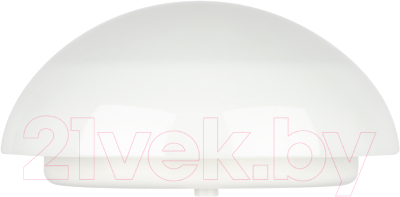 Светильник ЖКХ ЭРА ДБП 06-12-012 / Б0062649