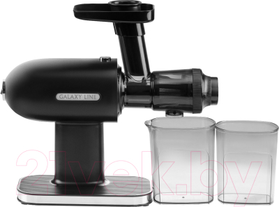 Соковыжималка электрическая Galaxy GL 0813 - фото