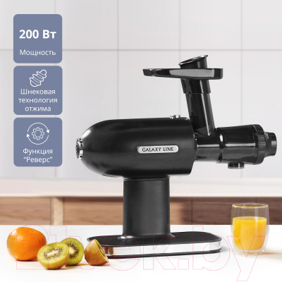 Соковыжималка электрическая Galaxy GL 0813