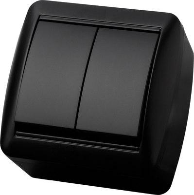 Выключатель TDM Селигер / SQ1818-0302 - фото