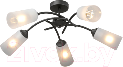 Люстра Vitaluce V2850-1/5PL - фото