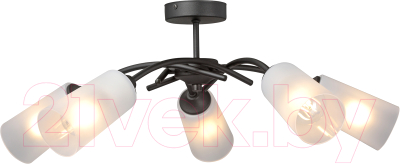 Люстра Vitaluce V2850-1/5PL