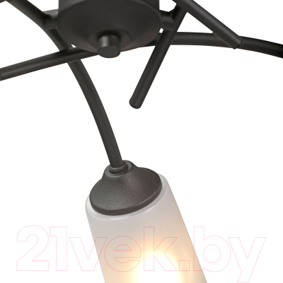 Люстра Vitaluce V2850-1/5PL