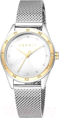 Часы наручные женские Esprit ES1L349M0105 - фото