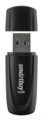 USB flash накопитель SmartBuy Scout Black 64GB (SB064GB2SCK)