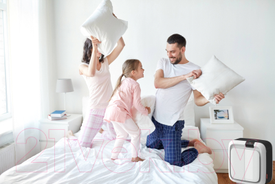 Климатический комплекс Boneco Air-O-Swiss H700