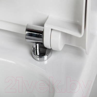 Сиденье для унитаза АВН SD 01m