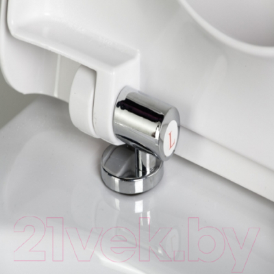 Сиденье для унитаза АВН SD 01m