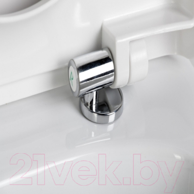 Сиденье для унитаза АВН SD 01m