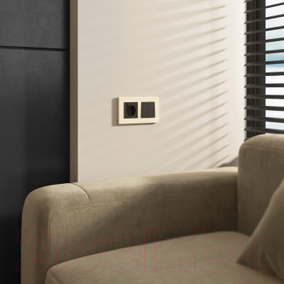 Рамка для выключателей и розеток Werkel W0022962