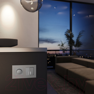 Рамка для выключателей и розеток Werkel W0022965