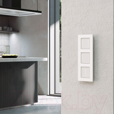 Рамка для выключателей и розеток Werkel W0032961