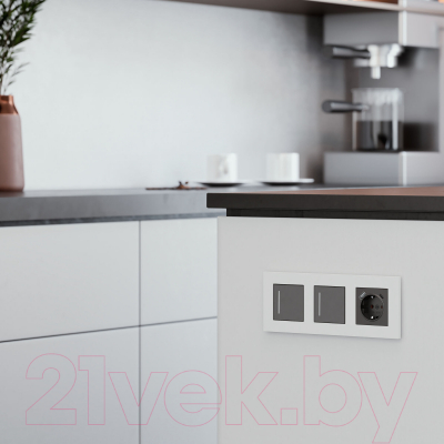 Рамка для выключателей и розеток Werkel W0032961