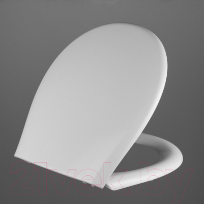 Сиденье для унитаза АВН SD 12u