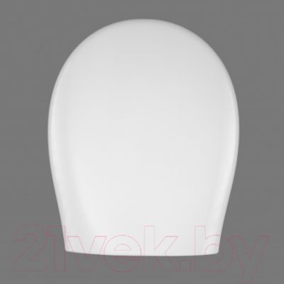 Сиденье для унитаза АВН SD 12u