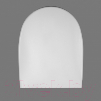 Сиденье для унитаза АВН SD 16m (с микролифтом)