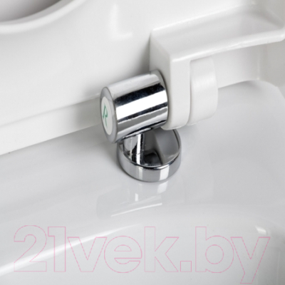 Сиденье для унитаза АВН SD 11m (с микролифтом)