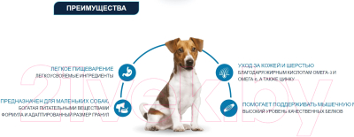 Сухой корм для собак Advance Mini Adult Chicken & Rice