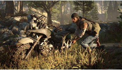 Игра для игровой консоли PlayStation 4 Days Gone