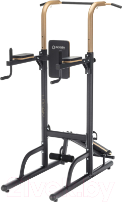 Силовой тренажер Oxygen Fitness Logan - фото