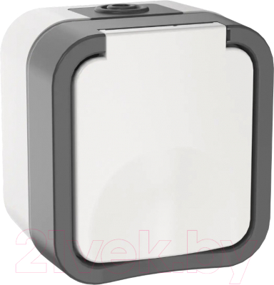 Розетка IEK Tors TS-R16-16-55-K41 - фото