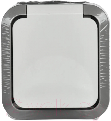 Розетка IEK Tors TS-R16-16-55-K41