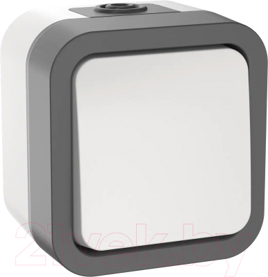 Выключатель IEK Tors TS-V10-0-10-55-K41 - фото