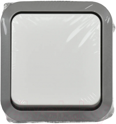 Выключатель IEK Tors TS-V10-0-10-55-K41