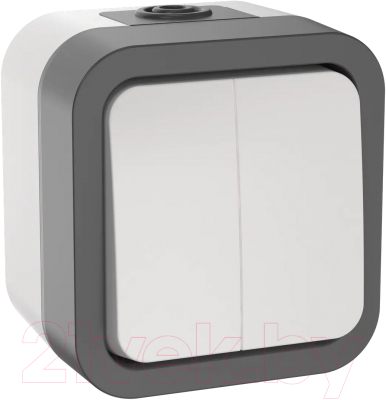 Выключатель IEK Tors TS-V20-0-10-55-K41 - фото