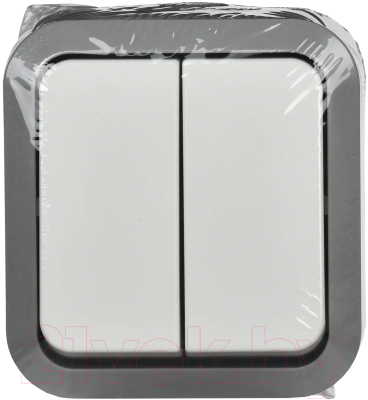 Выключатель IEK Tors TS-V20-0-10-55-K41