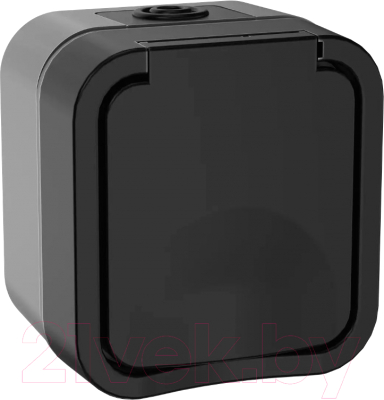 Розетка IEK Tors TS-R16-16-55-K53 - фото