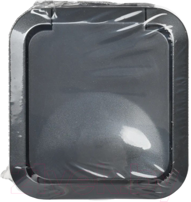 Розетка IEK Tors TS-R16-16-55-K53