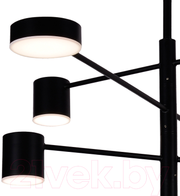 Люстра Kinklight Мекли 07650-8D.19(4000K)