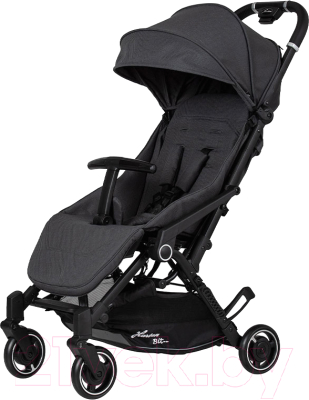 Детская прогулочная коляска Hartan Bit 166 / 2017.130.166 (Graphit) - фото