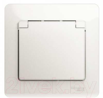 Розетка Schneider Electric Glossa GSL000646 - фото