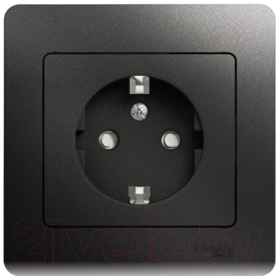Розетка Schneider Electric Glossa GSL000744 - фото