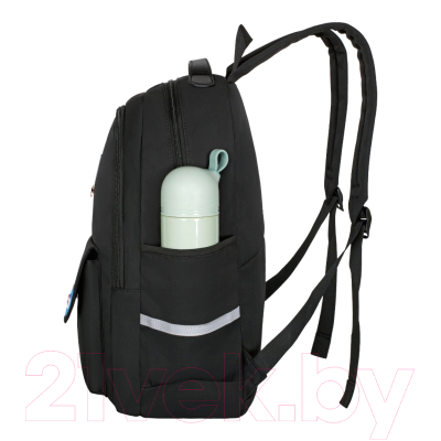 Школьный рюкзак Merlin M621