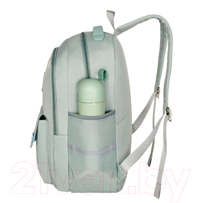 Школьный рюкзак Merlin M621