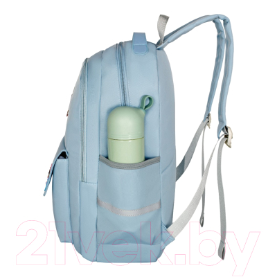 Школьный рюкзак Merlin M621