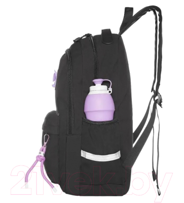 Школьный рюкзак Merlin M809