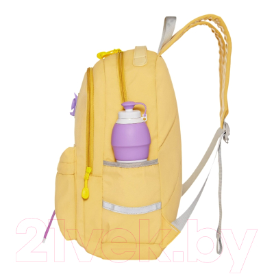 Школьный рюкзак Merlin M809