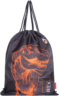 Школьный рюкзак Across HK23-5